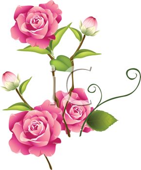 Pink Clip Art Rose Clipart Pa - Pink Rose Clipart