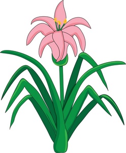 Pink Easter Lilies Clipart #1