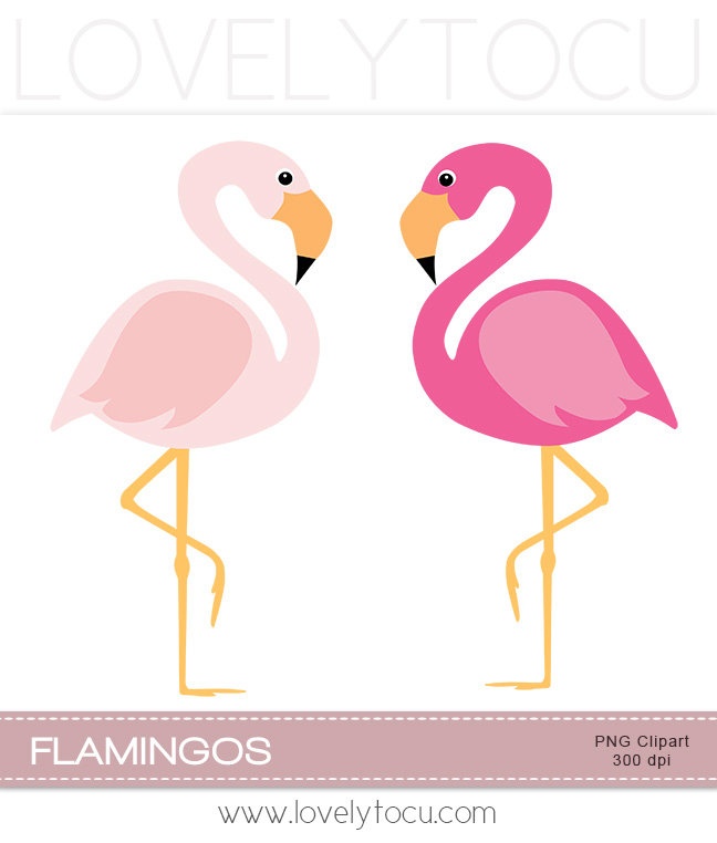 Pink flamingo clipart, a pair of pink birds digital PNG clip art (30)