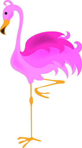 Pink Flamingo Clipart