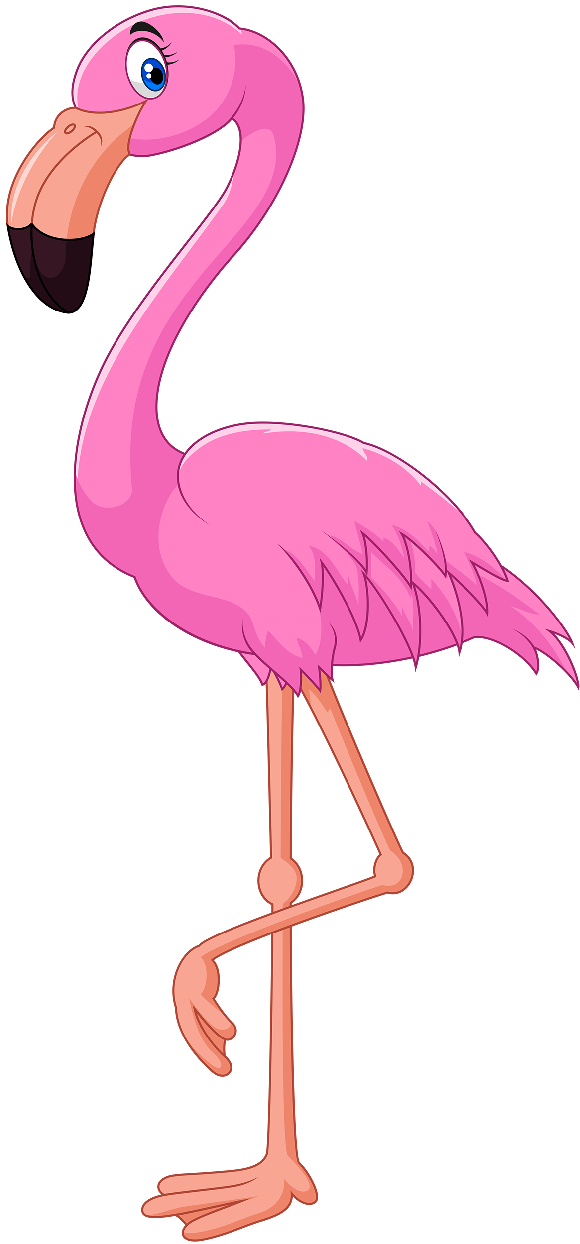 Pink flamingo clipart web clipart