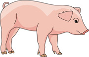 Pink Pig Size: 51 Kb