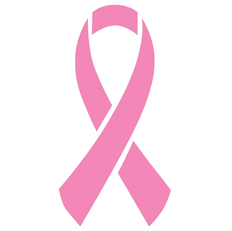 Pink Ribbon Breast Cancer Awareness Sticker Quotes