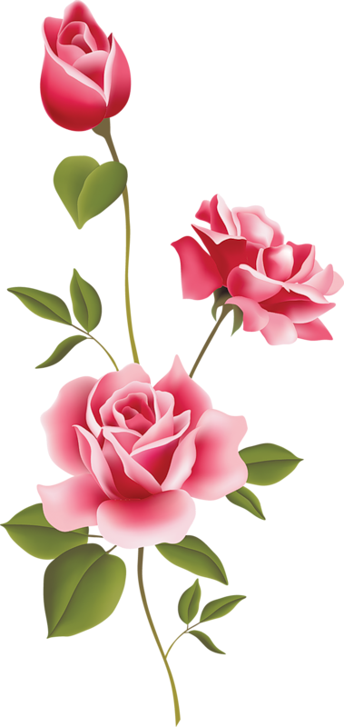 Pink Rose Art PNG Clipart - Pink Rose Clipart