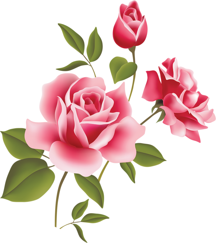 Roses pink rose clip art noel
