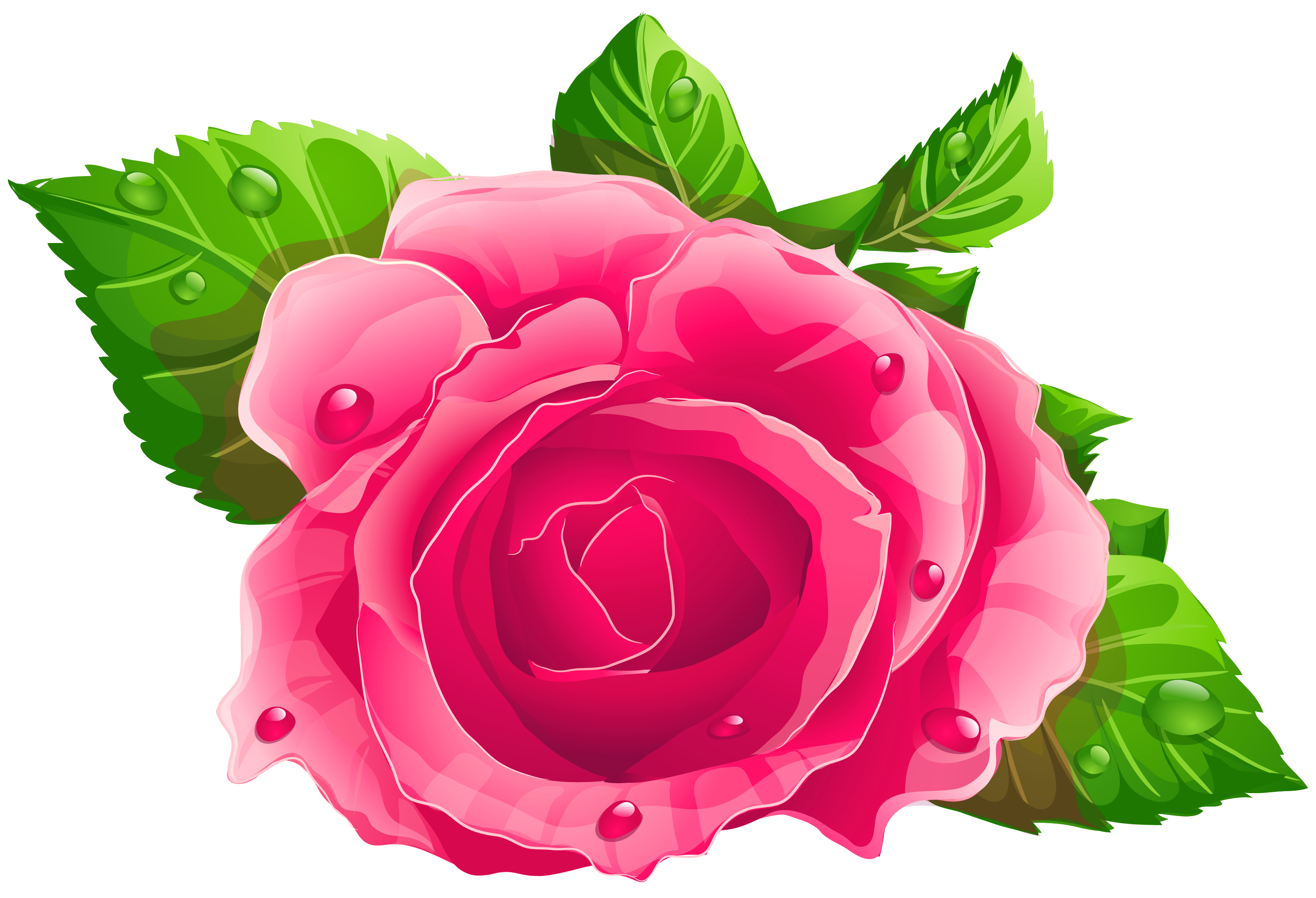 Large Pink Rose Clipart