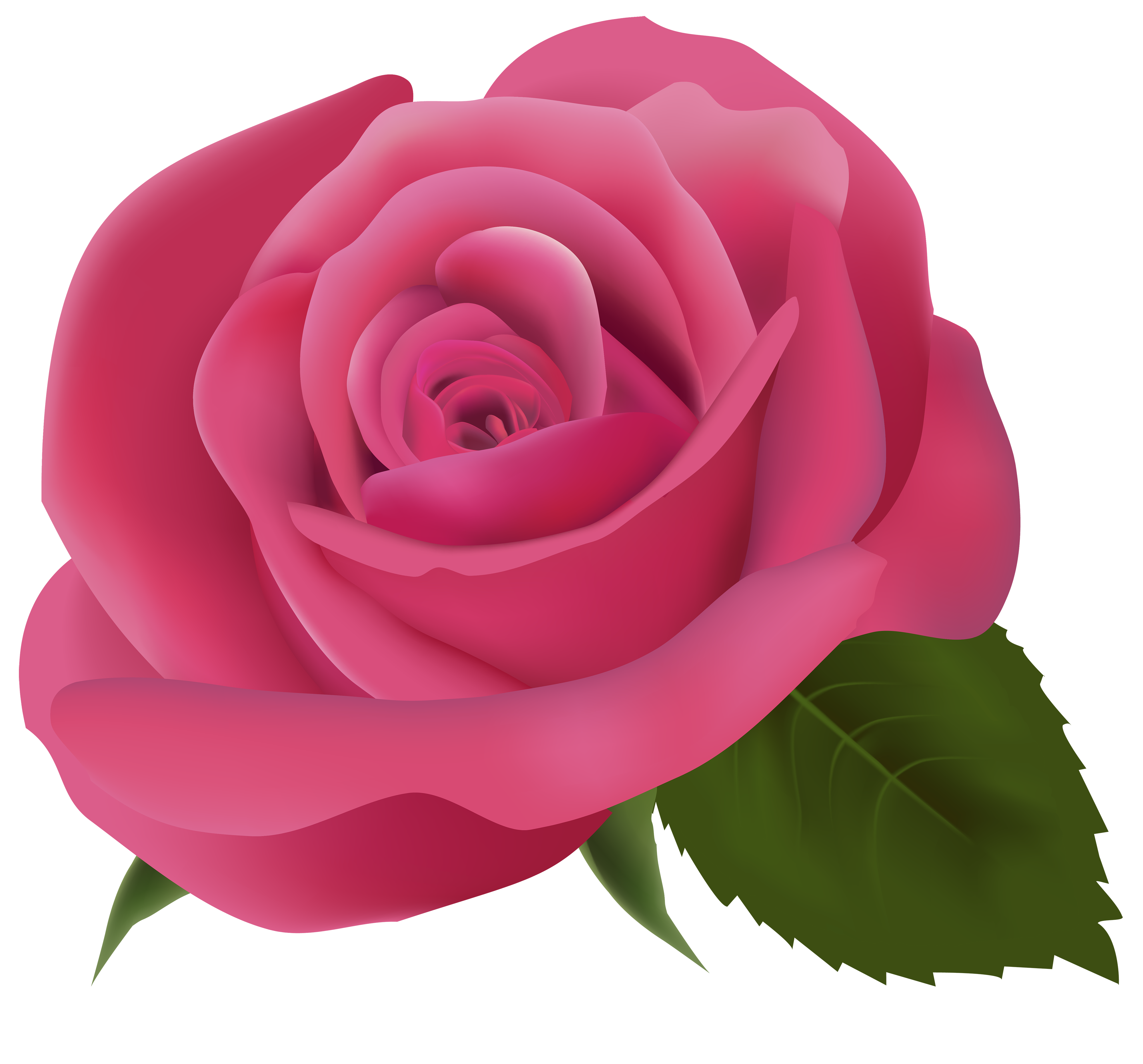 Pink Rose Art PNG Clipart
