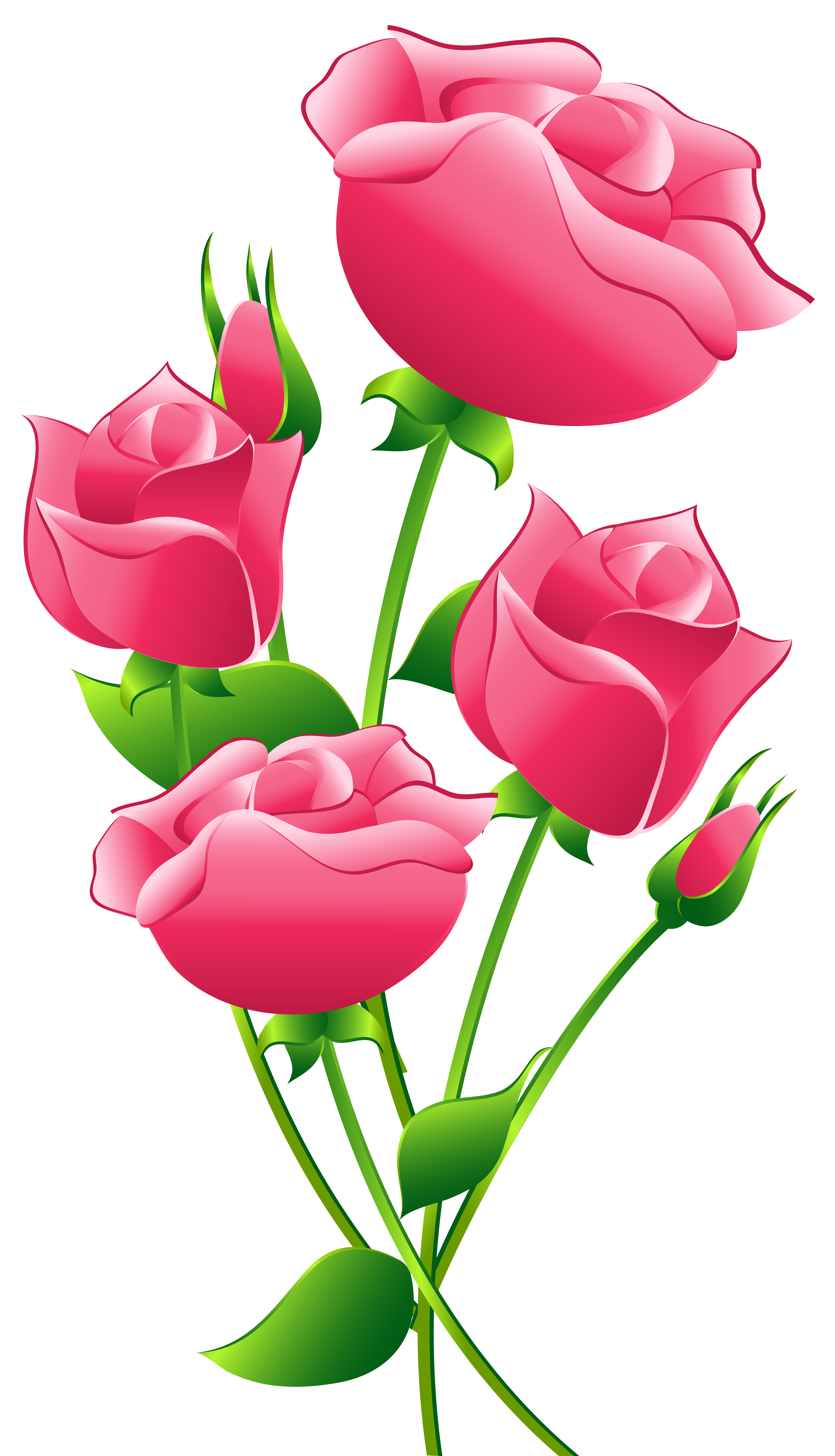 Related Clip Art. Pink roses 