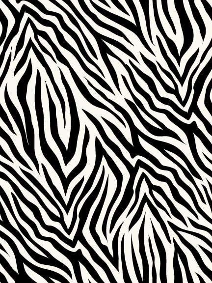 Zebra Print Image .