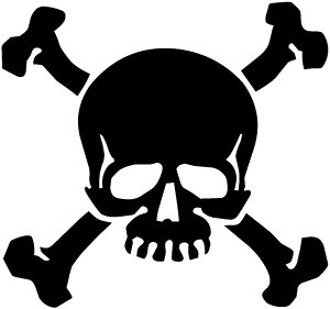 Pirate Skull And Crossed Bones Jolly Roger Graphic The Pirate S