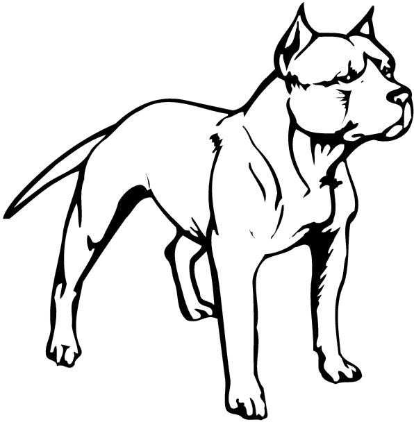 Pit Bull Clipart Cliparts Co. 2016/03/10 Pitbull u0026middot; Website Designed At Homestead Get A Website And List Your Business