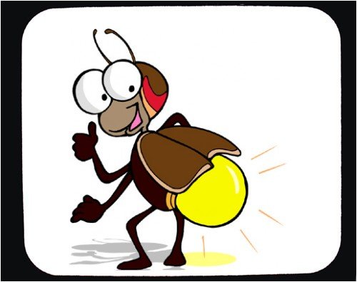 Pix For Firefly Insect Clipart