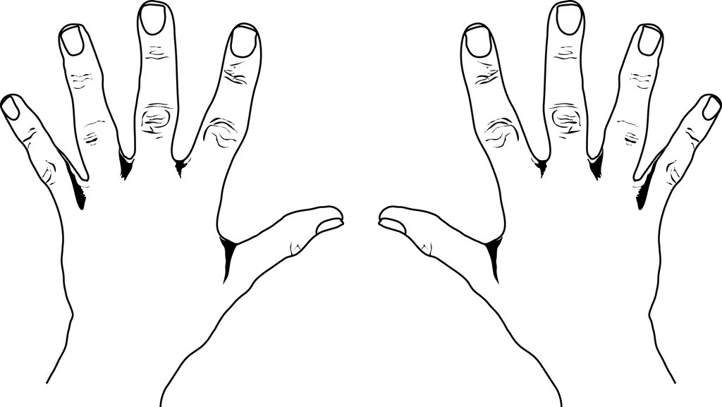 Pix For u0026gt; Clipart Right Hand