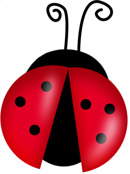 Pix For Ladybugs Pictures Clip Art