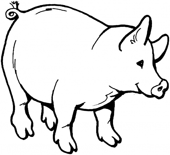 Pix For Pig Cartoon Outline.  - Pig Outline Clip Art
