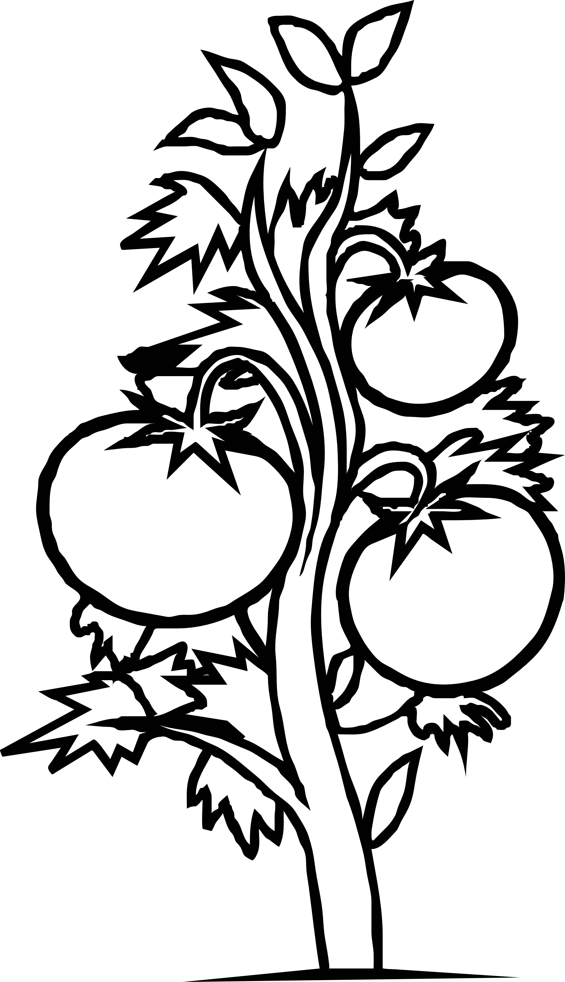 Plant Clipart Black And White Tomato Plant Black White Line Art