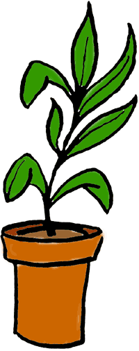 growing plant clipart