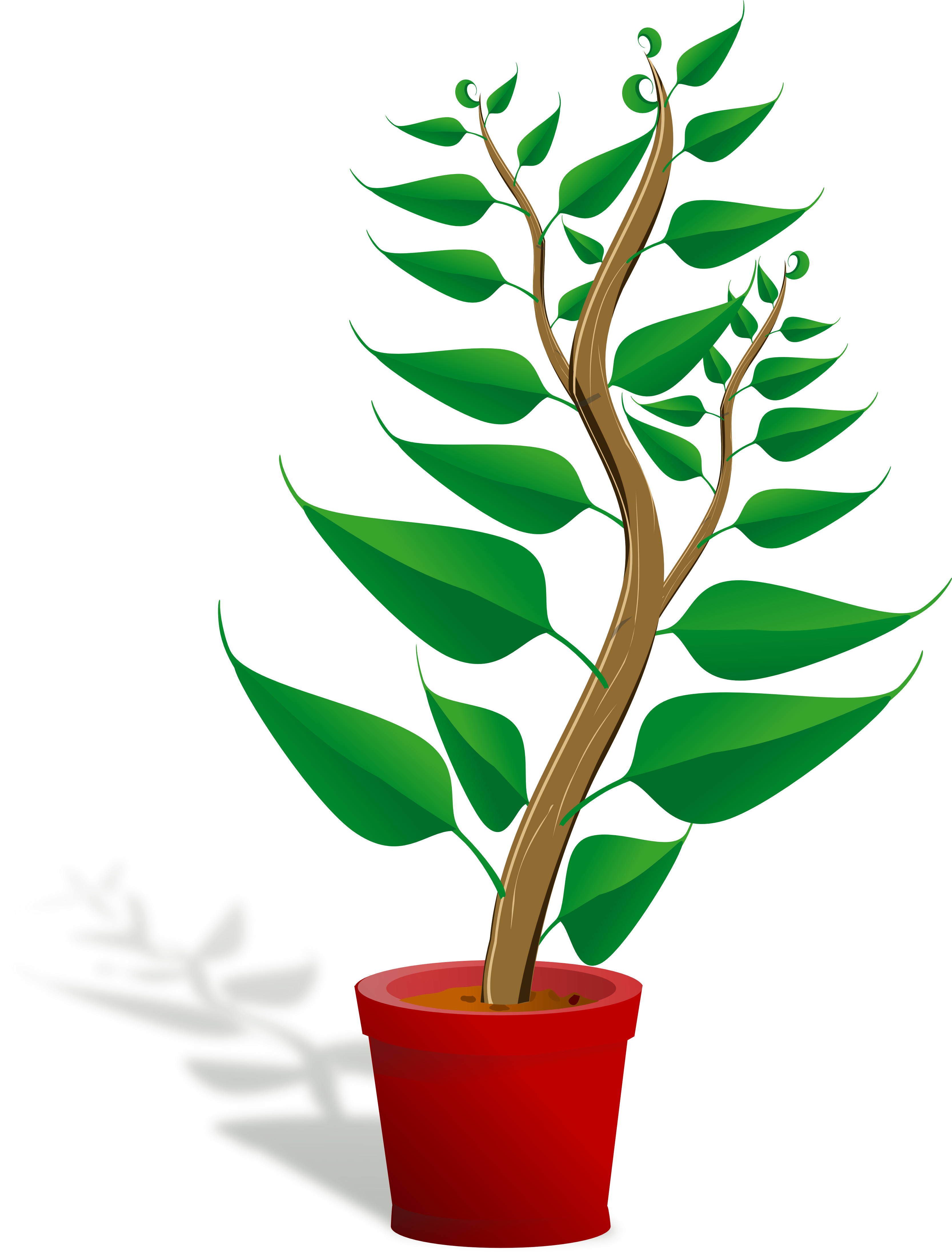 plant clipart - Plant Clip Art