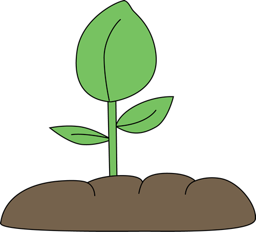 Plant Clipart - Plant Clip Art