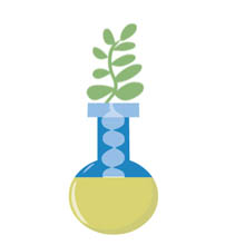 plant growing from test tube  - Animated Clipart Free