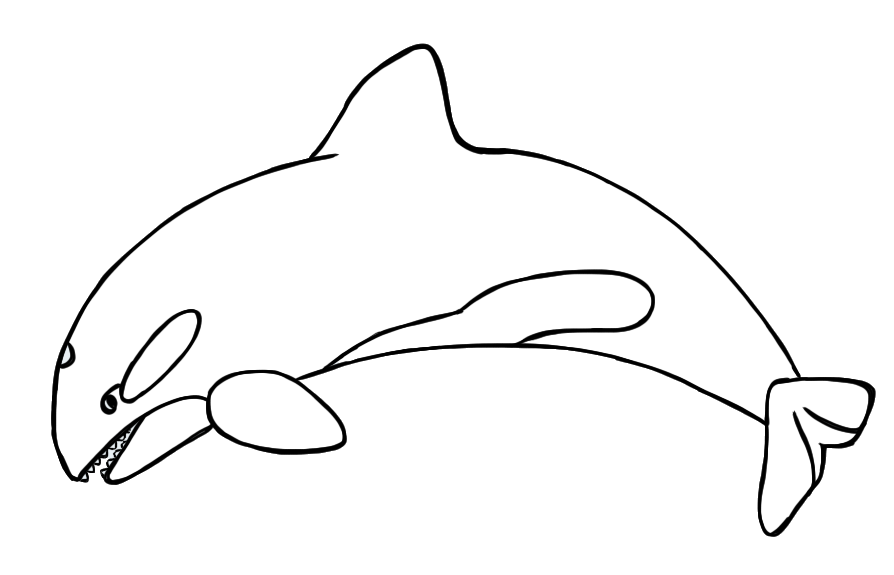 Please Read Terms Of Use At B - Orca Clip Art