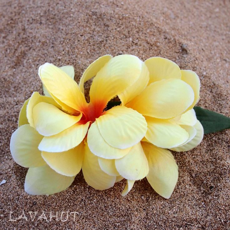 Plumeria Yellow Hawaiian Flower Hair Clip