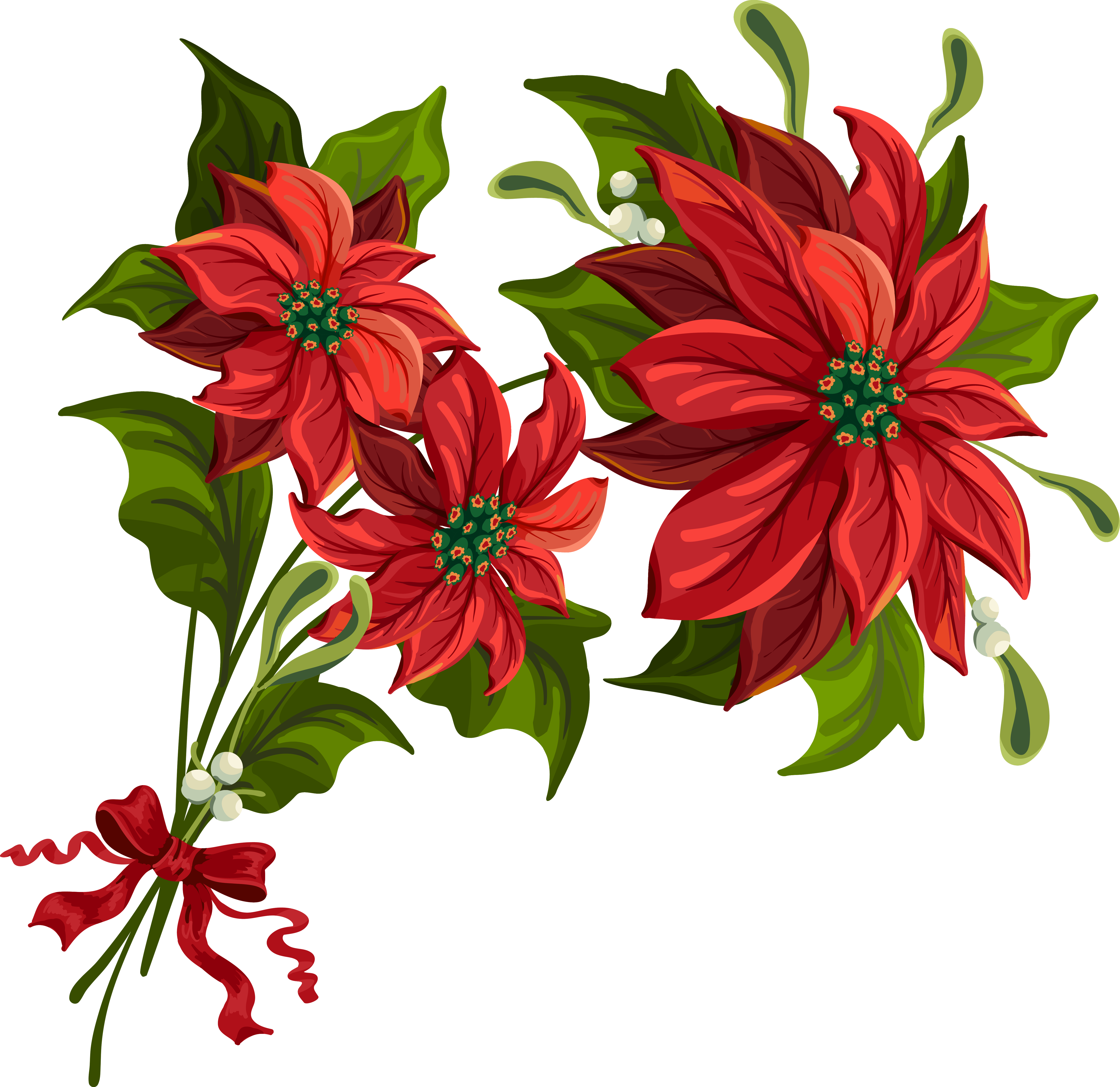 Poinsettia cliparts. Christma - Poinsettia Clipart