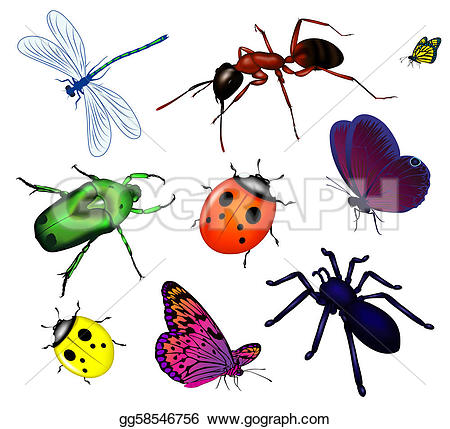 poison u0026middot; Set of va - Clipart Insects