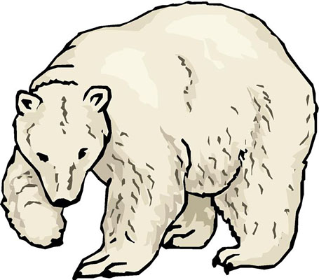 polar bear clipart black and  - Polar Bear Clip Art