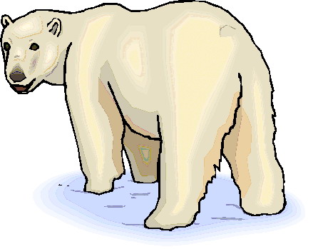 Polar bears clip art