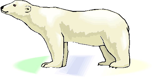 Polar bears clip art - Clipart Polar Bear