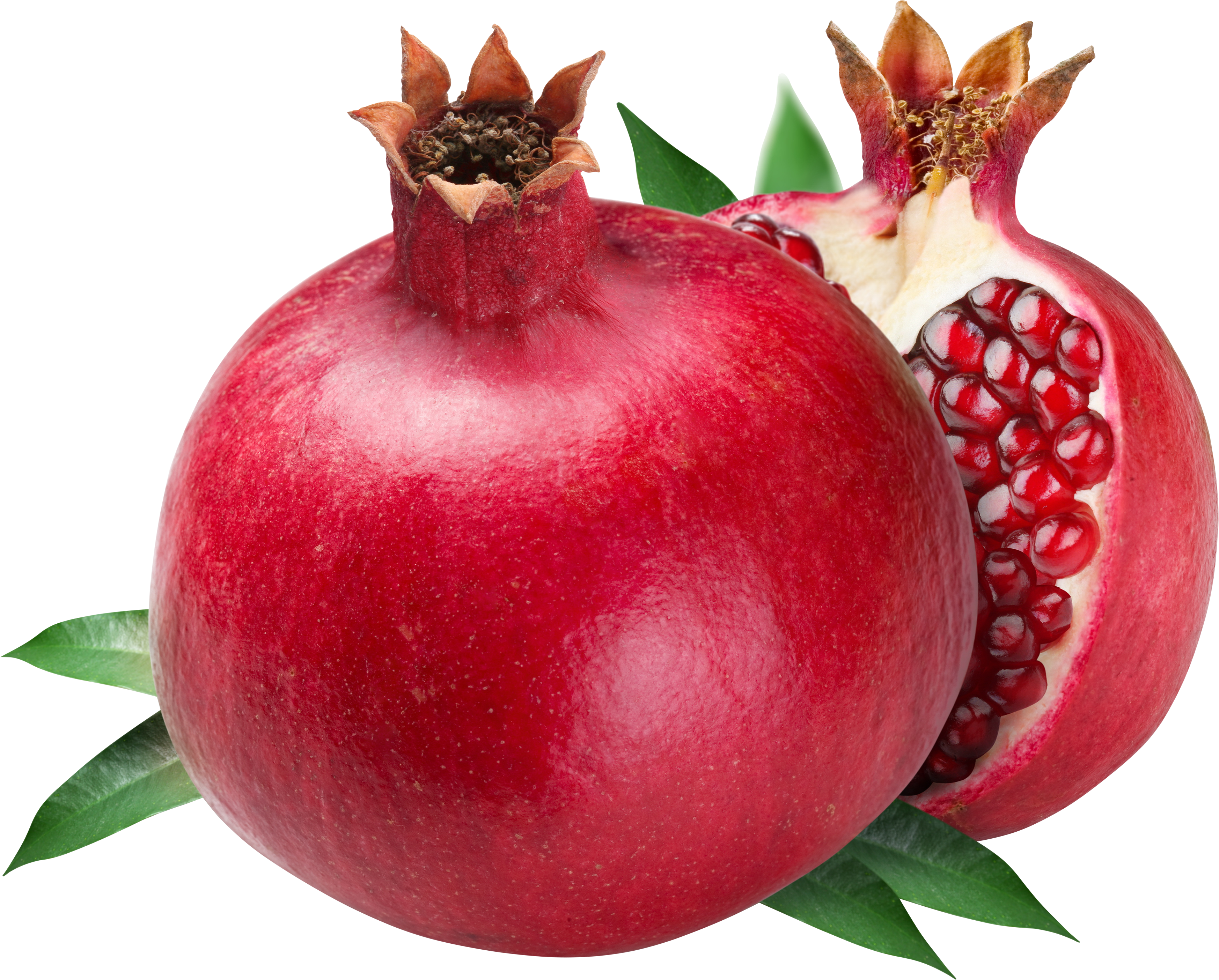 Pomegranate Clipart. Pomegranate