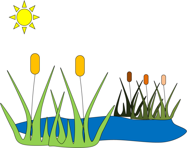 Pond Water Clipart #1