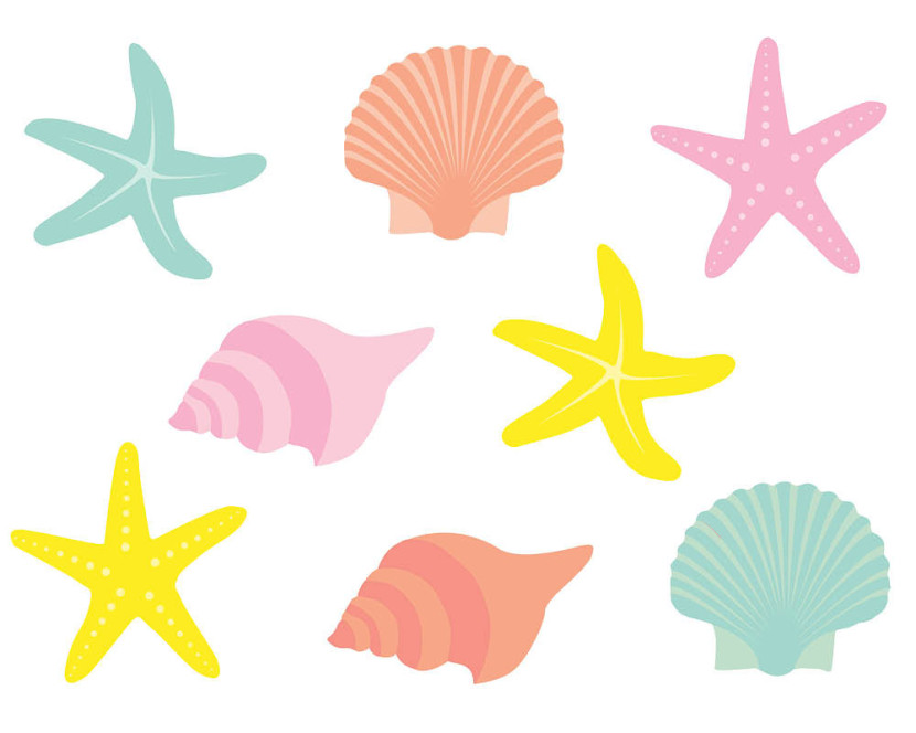 Popular Items For Seashell Clipart On Etsy