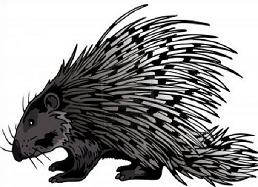 porcupine clipart #10