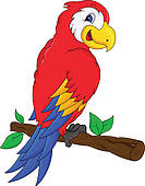 portrait of macaw parrot u0026middot; macaw bird cartoon