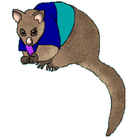 possum clipart - Possum Clipart