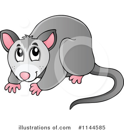 ... Opossum - Clipart illustr