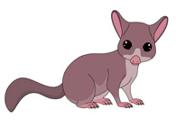 bushtail possum clipart. Size: 55 Kb From: Marsupial Clipart