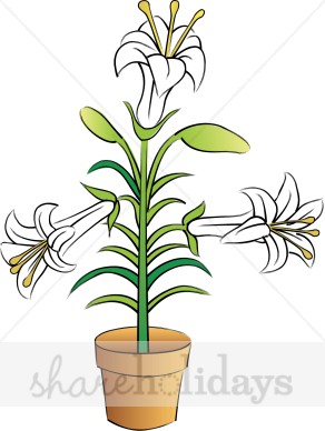Potted Easter Lily Clipart