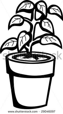 Potted Plants Black And White ... potted vegetable plant%