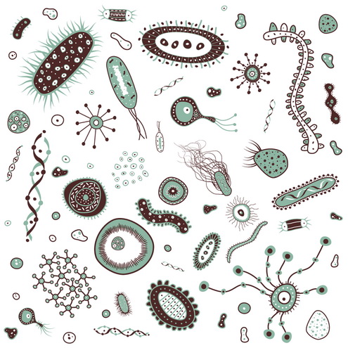 Cartoon Virus Germ Bacteria S