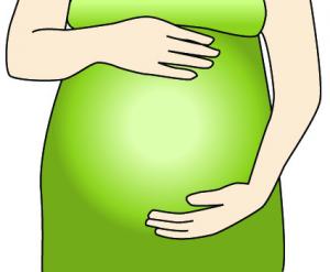 Pink Pregnant Woman Clipart