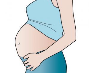 Pregnancy Clip Art 2
