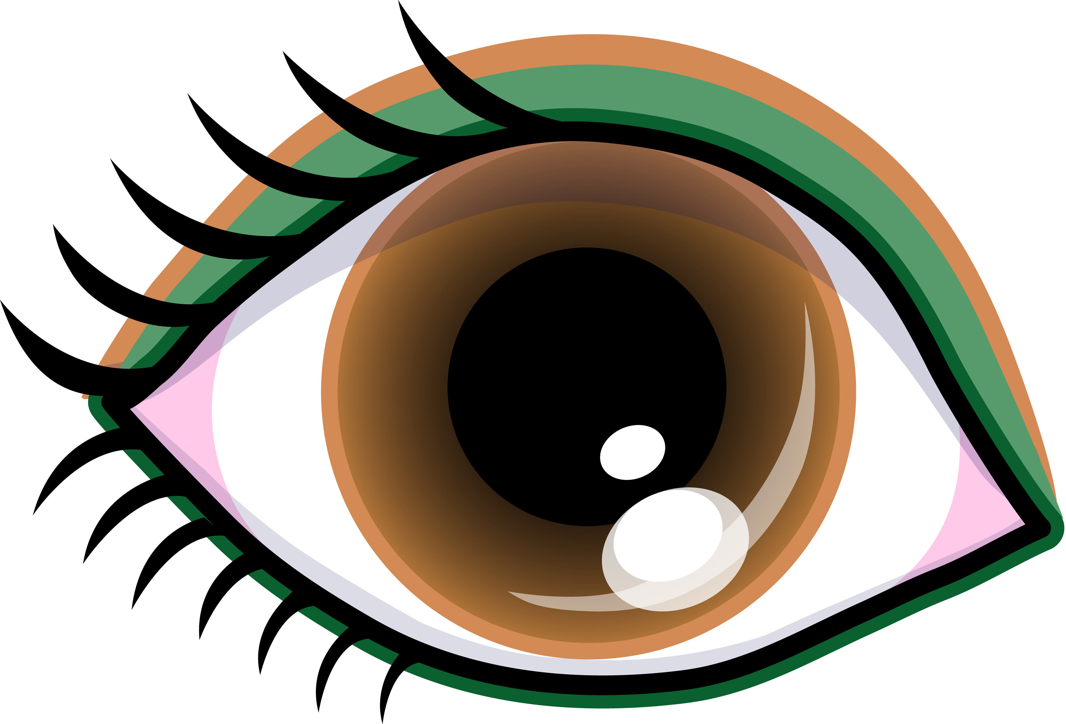 Pretty Brown Eye With Shadow  - Brown Eyes Clipart