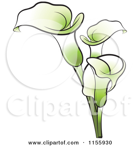 White Calla Lily Clip Art
