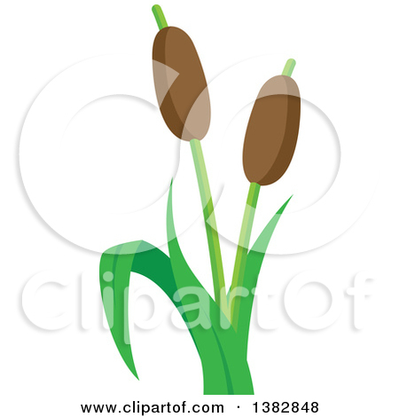 Preview Clipart - Cattail Clipart