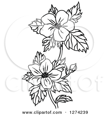 Preview Clipart - Dogwood Clipart