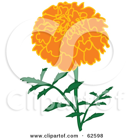 Mexican Marigold Clipart