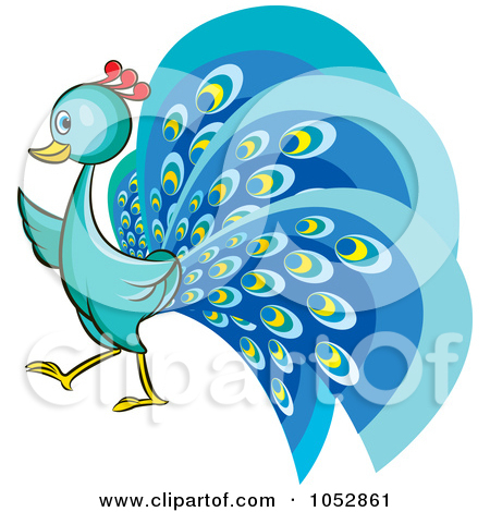 peacock: Vector isolated peac
